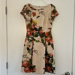 Adrianna Papell Size 2P Dress